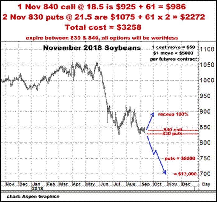 9-11-18nov18soybeans.png
