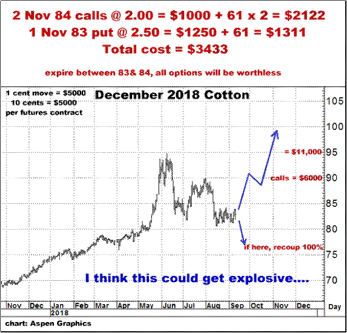 9-11-18dec18cotton.png