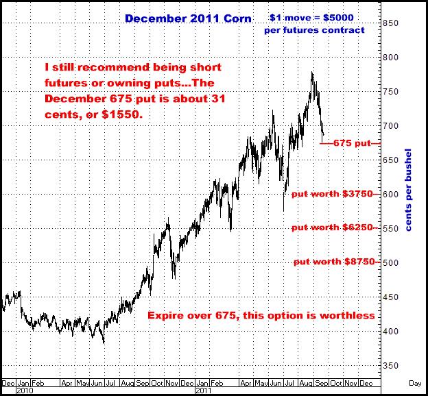 9-20-11dec11corn.png
