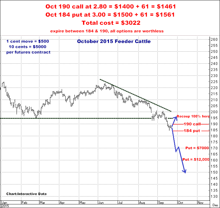 9-22-15oct14feeder.png