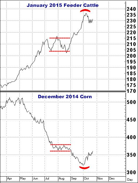 10-23-14dec14corn&jan15feeder.png