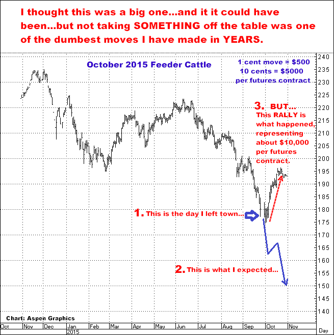 11-12-15oct15feeder.png