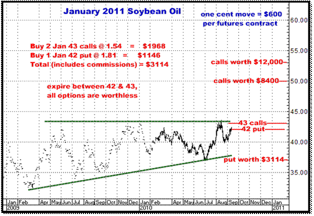 9-13-10jan11soyoil.png