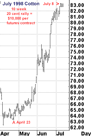 rallyjuly1998cotton.gif (8777 bytes)